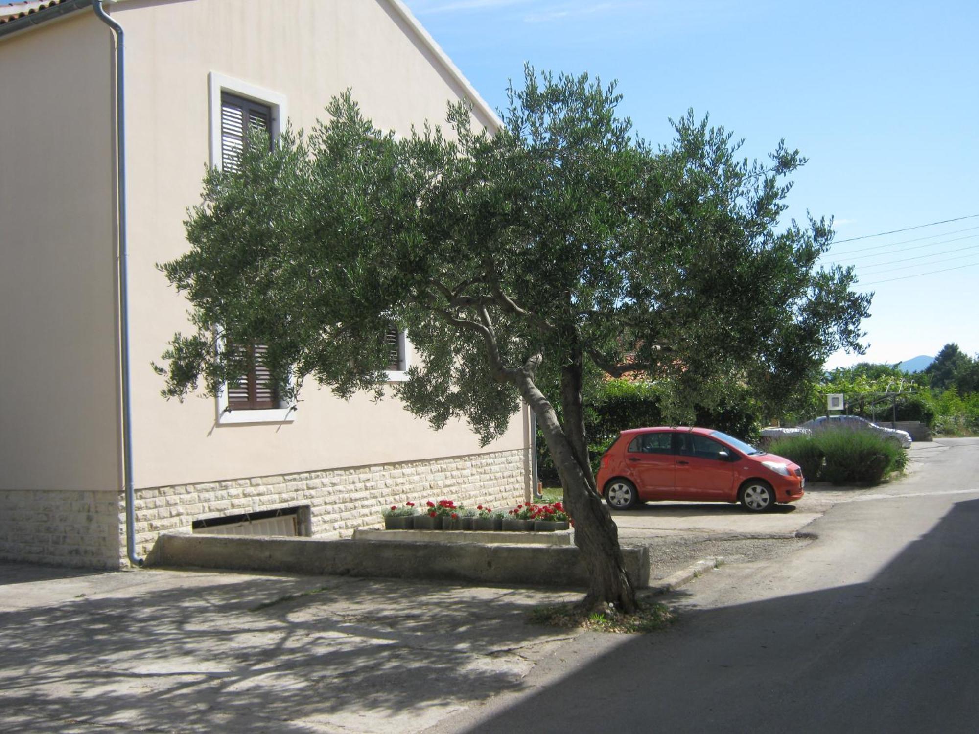 Apartments Blanka Zadar Eksteriør billede